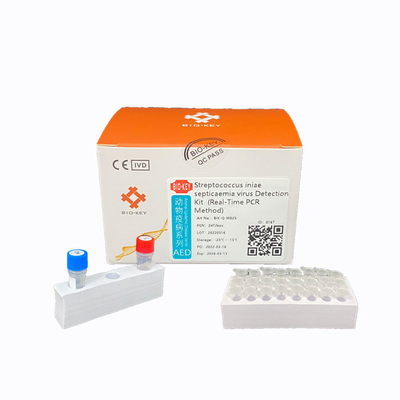 Bộ xét nghiệm huỳnh quang đầu dò Streptococcus Ct38 Bộ dụng cụ nuôi trồng thủy sản PCR