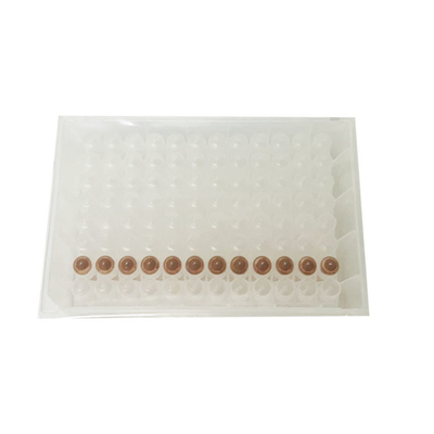 ISO13485 Bộ tách chiết vi rút nhanh hạt từ tính 48 mẫu Bộ tách chiết RNA