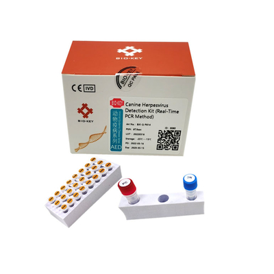 Taq Polymerase Canine Test Kit Bộ xét nghiệm PCR Canine Herpes Kiểm tra vi rút Huỳnh quang