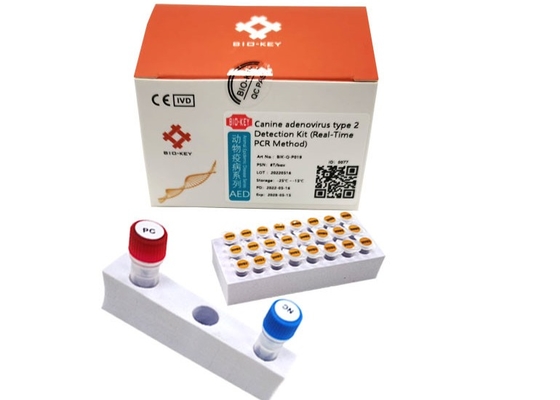 ISO13485 Canine Adenovirus Pcr Test Type II Taq Ploymerase Dog Test DNA Dog Kit