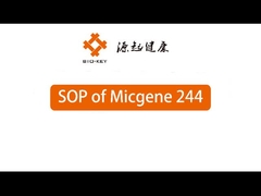 POCT Máy PCR định lượng thời gian thực 2 / 4 kênh 24 Thiết bị chẩn đoán phân tử tốt