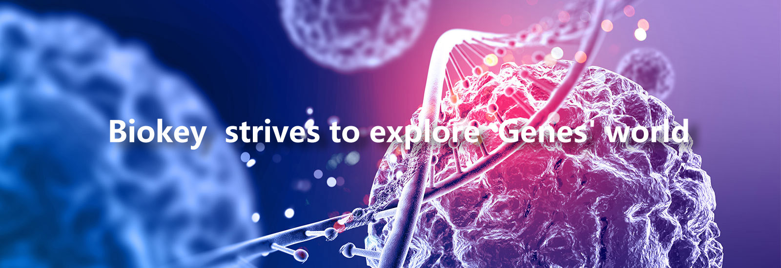 chất lượng Máy RT qPCR nhà máy