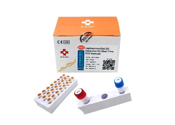 Bộ xét nghiệm CLep Canine Dog Test Kit DNA Polymerase Leptospira Xét nghiệm huỳnh quang PCR