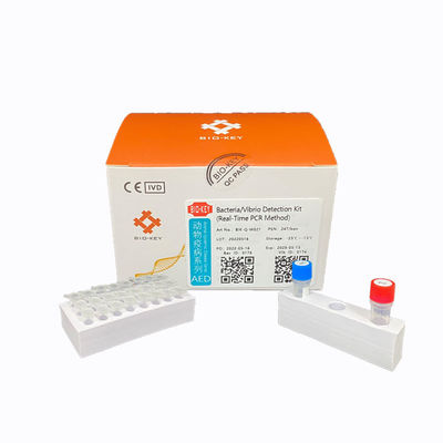 Bộ chẩn đoán PCR thời gian thực