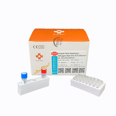 PCR Feline Thử nghiệm Herpesvirus Bộ dụng cụ thăm dò Cat Test Chlamydia Huỳnh quang