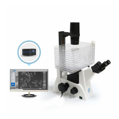 Máy viêm sinh học đảo ngược B60iL Máy viêm đặc biệt để quan sát nhà máy tế bào