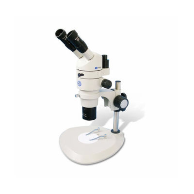 8X-80X Magnification Stereo Microscope S80