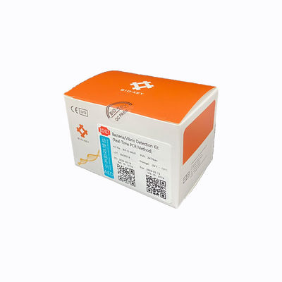 Bộ chẩn đoán PCR thời gian thực