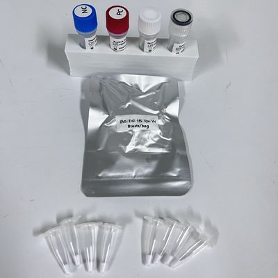 Bộ phát hiện PCR thời gian thực Vpa Vibrio Parahaemolyticus