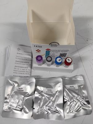 NHPB Phân tích thử nghiệm Pcr Taqman số lượng axit nucleic fluorescent gây bệnh dưới nước