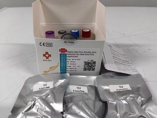 Tiết dụng cụ phát hiện axit hạt nhân virus cá hồ Tilapia thời gian thực PCR lyophilized