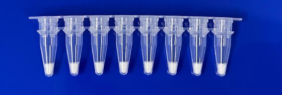Bộ phát hiện PCR thời gian thực được đông lạnh cho thành phần lợn trong mẫu thực phẩm