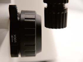 Máy hiển vi sinh học thẳng đứng tập trung thô / Micro Coaxial B70F