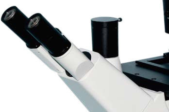 Viên kính hiển vi sinh học đảo ngược mũi 5 vị trí B50i