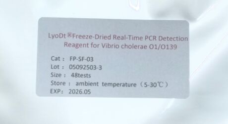 Thuốc thử phát hiện PCR thời gian thực đông khô LyoDt® cho Vibrio cholerae O1/O139 - Không cần chuỗi lạnh & Đã phân phối sẵn cho một lần thử nghiệm